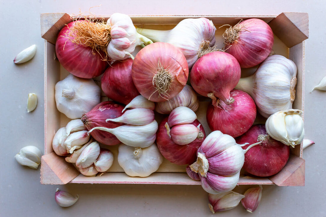 A Chef Shares Why a Garlic Press Is One of the Best Cooking Tools For Making Flavorful Meals