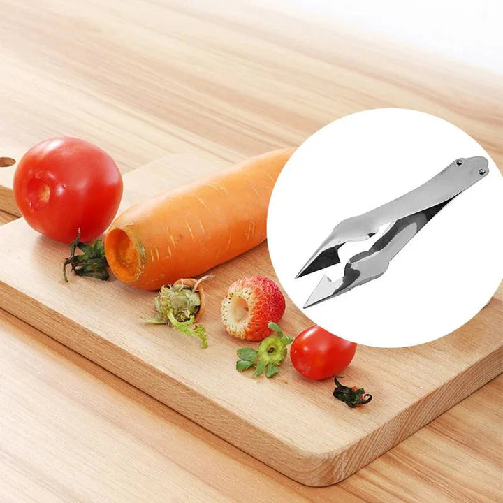 Stainless Steel Pineapple Peeler & Strawberry Huller - Rain Bown Home